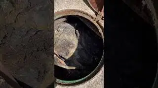 Preventing Drain Clogs: Daily Habits and Maintenance Tips