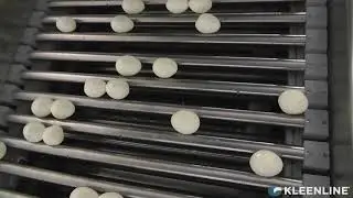 System Spotlight - Egg Wash Conveyor