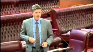 Legislative Council Adjournment speech Capital Regional Employment