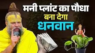 मनीप्लांट में घर का ऐसा पानी भूलकर भी मत डालना बना देगा धनवान #laxmi #premanandjimaharaj