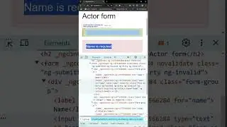 Show Error border or apply styles to the form control element in template form using classes
