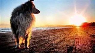 1 Hour Epic Music Mix   Two Steps From Hell Vol  22