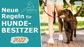 Neue Tierschutz - Hundeverordnung 2022 | Das m&uuml;ssen Hundebesitzer beachten!