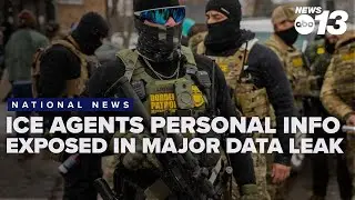 ICE and Border Patrol agents' personal info exposed in data leak