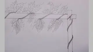 Scenery of Grapes Drawing || Bunch of Grapes || Vine of Grapes|| #how #drawing #Grapes Drawing.