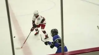 Eastview Hockey Peewee C vs Armstrong Cooper 3rd Period Cowtown Tournament