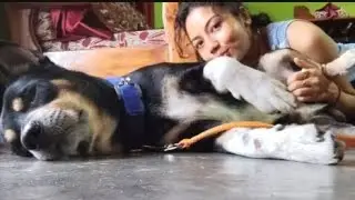 My Dog ​​Loves It When I Rub His Belly Rubbing His Belly Makes Him Very Happy