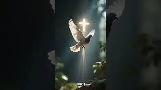 Feeling Lost? Here&rsquo;s Proof You&rsquo;re Going to Make It!❤️