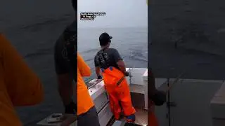 Albacore Tuna Fishing #albacore #tuna #tunafishing #california #fishing #fishingvideo #fishinglife