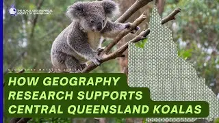 How digital mapping and remote sensing support Ecology research - Central Queensland koalas