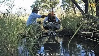 Yingwana: Water Clearance Ceremony