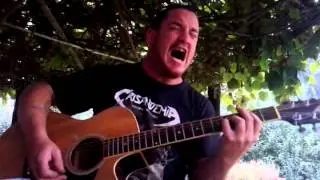 Anidando liendres cover by roman Fern&aacute;ndez peyla