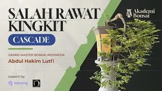 Rahasia Flow Kingkit Biar Tetap Subur