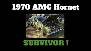 1970 AMC Hornet SURVIVOR. Unrestored!