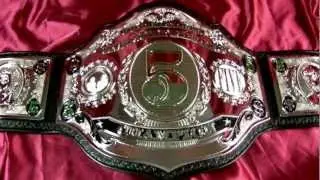 TRB Spotlight: $5 Wrestling Heavyweight Championship Belt