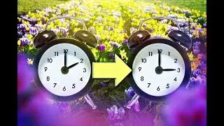 ZEITUMSTELLUNG: EU befragt B&uuml;rger zu Sommerzeit - Sie d&uuml;rfen abstimmen!