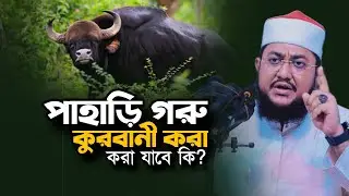 পাহাড়ি গয়াল গরু দিয়ে কুরবানী করা যাবে কিনা Sadikur Rahman Azhari Waz