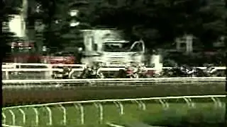 Majesticperfection - 2010 Alfred G. Vanderbilt Handicap (G1)