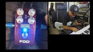 MXR FOD