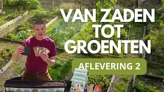 Van zaden tot groenten - aflevering 2
