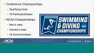 Swimming & Diving Recruiting 101
