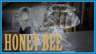 Spirit Animal - Honey Bee