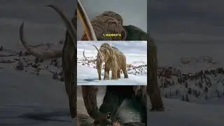 Hewan Misterius Yang Tertangkap Kamera #monster #mahlukbumi #misteridunia #penampakan #mitologia