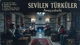 Sevilen Türküler 2 | 5 Özel Eser