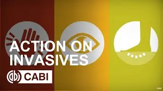 Action on Invasives