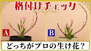 【2026】生け花の格付けチェック〜プロの生け花はどっち？〜