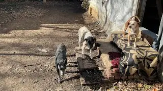2026 iPad Video # 2