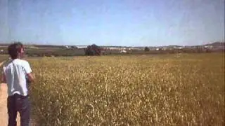 When a scratch built rc plane... doesn't want to fly.