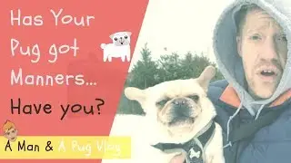 ⚠️Has Your Pug Manners On A Walk? ⚠️ HAVE YOU??⚠️