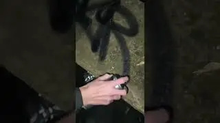 Лютый тег Graffiti bombing