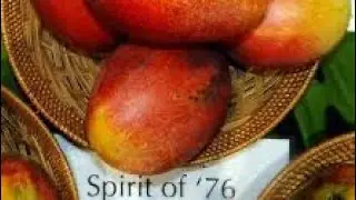 Дегустация манго Spirit of 76 🥭