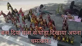 क्या जादू है? बना दिया घास से घोड़ा।
