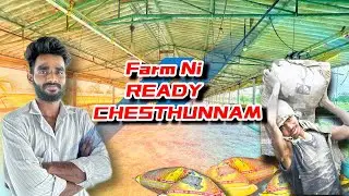 Ma farm lo sunnam kottinam , sheed  ready aethundhi