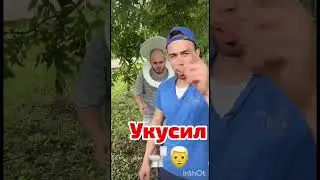 кушай финики,🤣