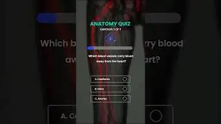 Human Body Quiz | Test Your Biology Knowledge