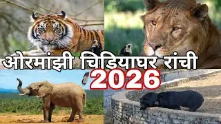 🦁 Ranchi Ormanjhi Zoo Full Tour | Animals, Ticket, Timing | Jharkhand Zoo Vlog