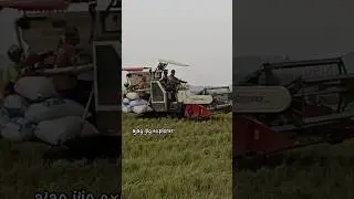 Combine Traktor || Panen Padi