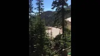 PPIHC 2016