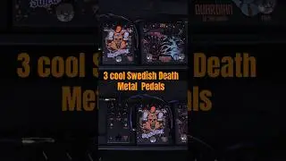 #swedishdeathmetal #metalguitarist   #solarguitars #fishmanfluence #hm2 #silasfernandes