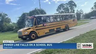 Power line falls on a school bus