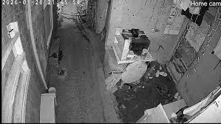 Lola's Home - Home Cam- My Everyday life