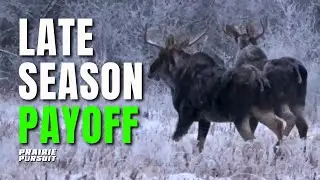 Guide Time, Prairie Moose | Prairie Pursuit | S3 E12