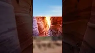 The Grand Canyon #shorts #facts #desert #grandcanyon #americas #cool #viral #funfacts #history #usa