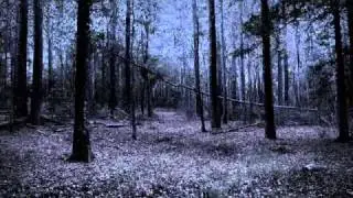 Arcthuris - Lucustas Liebestraum