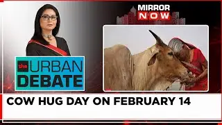 Animal Welfare Dept. Wants To Mark Cow Hug Day | No Valentine? Hug A Cow Instead | Urban Debate