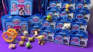 Littlest Pet Shop Collection 💙@Maggie&rsquo;s Toy Time